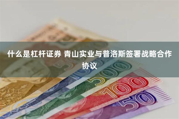 什么是杠杆证券 青山实业与普洛斯签署战略合作协议