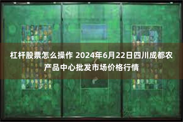 杠杆股票怎么操作 2024年6月22日四川成都农产品中心批发市场价格行情