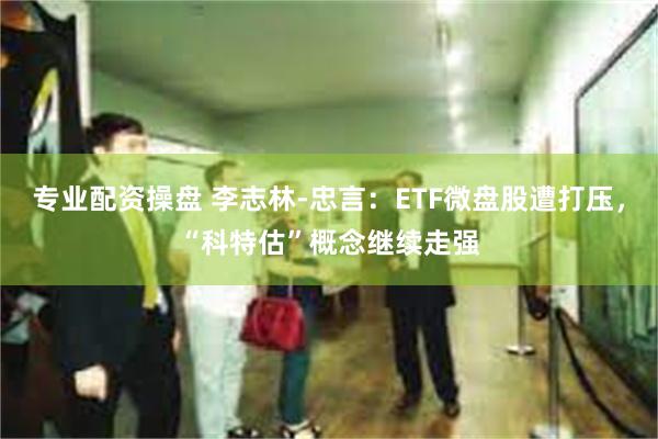 专业配资操盘 李志林-忠言：ETF微盘股遭打压，“科特估”概念继续走强