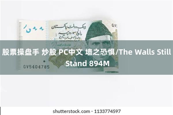 股票操盘手 炒股 PC中文 墙之恐惧/The Walls Still Stand 894M