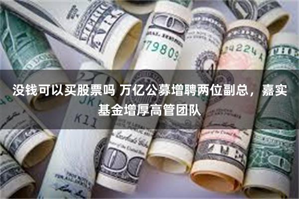 没钱可以买股票吗 万亿公募增聘两位副总，嘉实基金增厚高管团队