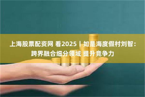 上海股票配资网 看2025丨如是海度假村刘智：跨界融合细分领域 提升竞争力