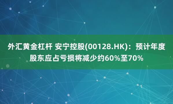 外汇黄金杠杆 安宁控股(00128.HK)：预计年度股东应占亏损将减少约60%至70%