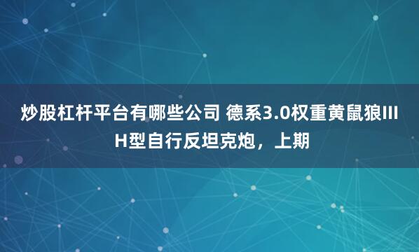 炒股杠杆平台有哪些公司 德系3.0权重黄鼠狼III H型自行反坦克炮，上期