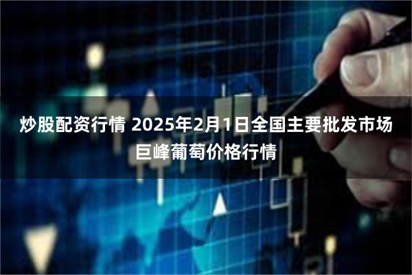 炒股配资行情 2025年2月1日全国主要批发市场巨峰葡萄价格行情