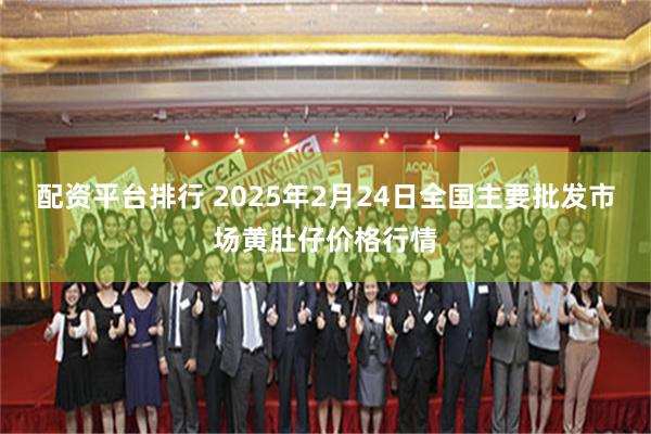 配资平台排行 2025年2月24日全国主要批发市场黄肚仔价格行情